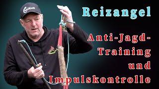 Reizangel - Anti-Jagd-Training und Impulskontrolle fördern