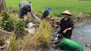 Lần Đầu Dẫn Anh Hàn Quốc Trải Nghiệm Thục Hang Bắt Cá Đồng Về Nhâm Nhi Buổi Chiều.Góc Làng Quê#1286