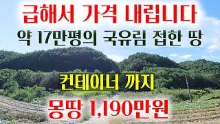 [1385-3][땅매매] 한시적으로 손절하겠습니다. 17만평의 국유림이 접하고 컨테이너 까지 있는 땅을 몽땅 1,190만원에 드립니다.
