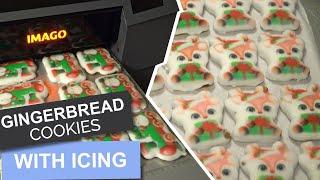 How to decorate gingerbread cookies with icing? ️