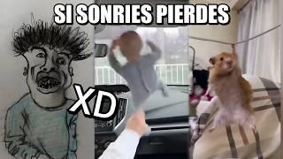 Los Mejores VIDEOS RANDOM #58 (RECOPILACIÓN) Si Te Ries Pierdes, Videos De Risa, Funny Memes