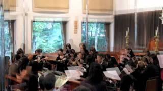 Baumann Concerto Capriccioso 3