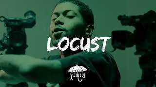 Dancehall Riddim Instrumental 2024 - "Locust" | Prod. XZACCLY