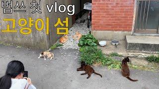 범쓰 첫 브이로그 영상  후쿠오카 아이노시마 섬에 가다! ㅣ 愛の島へ行く  Japanese cat island.