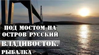 Под Мостом на Остров Русский. Город Владивосток. Интересные места, достопримечательности. Рыбалка.