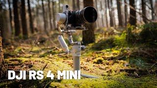 DJI RS 4 Mini: Der perfekte Gimbal für Content Creator!