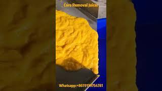 Look How Easily Core Removal and Pulping Machine Squeezes Mango Juice and Separates the Kernels!