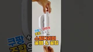 다이소,쿠팡 조합으로 스팀다리미 꿀템&꿀팁! #홈케어대디