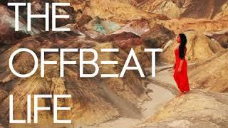 Ep. 56 The Offbeat Life One Year Anniversary Party Interview and Q&A with Jennifer O'Brien and...