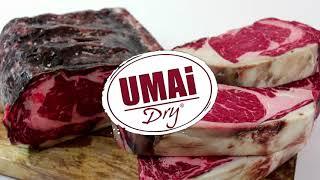 Basics - UMAi Dry  English Instructions for Vacuum Sealer