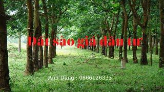 Đất sào giá đầu tư | Anh Dũng Đất Nền bình phước
