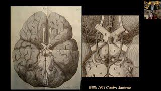 Thomas Willis conversations: The circle of Willis