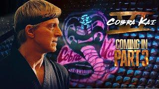 Cobra Kai Season 6: Part 3 - Johnny's Cobra Kai TEASED