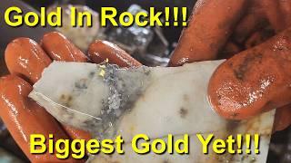 High Grade Gold Specimens, Season 2 Episode 10