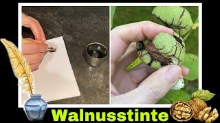 Walnusstinte herstellen | Tinte selber machen | Färben mit Walnuss | Selbstversorgung: Nussbaum