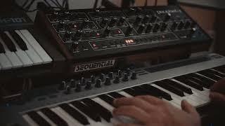 SEQUENTIAL PROPHET-5 - VINTAGE CLASSICS - CUSTOM PATCHES (PART 2)