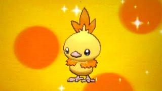 [LIVE!] Shiny Torchic hatched after 270 Eggs on Pokemon Alpha Sapphire!