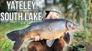 Yateley-South Lake-Carp Fishing-We caught a few fish!