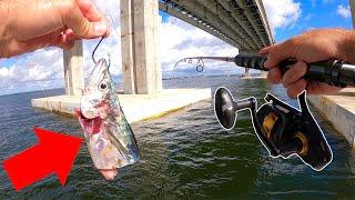 Huge Bait Catches a Bridge Monster!!