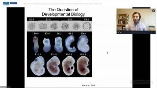 Reconstructing Wnt Signalling: A Pathway at the Interface between Development and Cancer