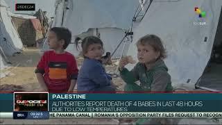 Palestine, four babies freeze to death in Gaza as winter sets in