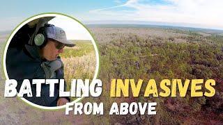 Fighting Invasive Ferns from the Sky! | Aerial Surveys in Action