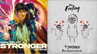 Stronger x This Feeling | Mashup Of Sam Feldt/Kesha/The Chainsmokers/Kelsea Ballerini