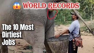 The 10 Most Disgusting Jobs That Pay Millions #1 Will Make You Gag And Apply