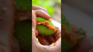 Bharela Kantola - Village Rasoi Youtube2,450#villagerasoi #villagefood #desifood #food #healthyfood