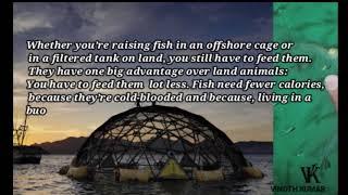 The Future Of Fish Husbandry l Fish Farming l Project Blue Revolution l Documentary Video