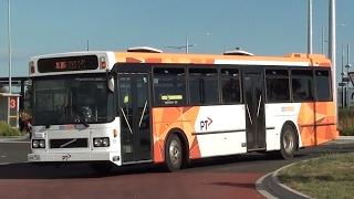 Buses at Tarneit - Melbourne Transport