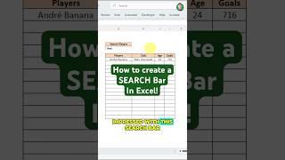 Search Bar in Excel!