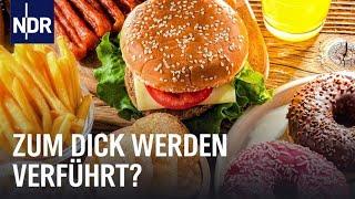 Dickes Deutschland - Wer ist schuld? | Doku | NDR Story