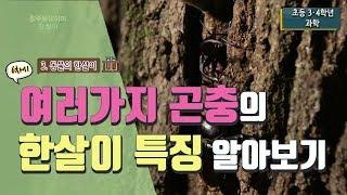 [초등 과학 3-1] 3. 동물의 한살이 - 6차시. 여러 가지 곤충의 한살이에는 어떤 특징이 있을까요?