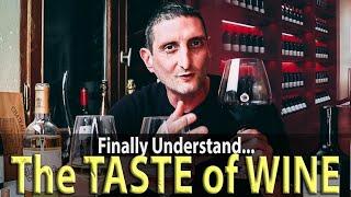 The Taste of Wine, 5 Components Explained!