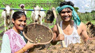 Khet se mitti ki chori| PYARE POINT |