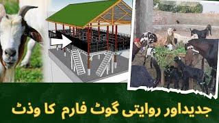 جدید اور روایتی گوٹ فارم کا وزٹ! Modern and Conventional Goat Farming