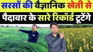 2024 में सरसों की वैज्ञानिक खेती कब और कैसे करें | sarso ki kheti kaise kare | sarson ki kheti