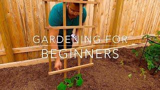 Gardening for Beginners - 7 Steps to Start a Garden in Texas