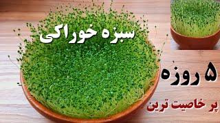 آموزش کاشت سبزه/ سبزه‌ای شگفت‌انگیز و پرخاصیت / سبزه چیا / سبزه عید _ Chia sprouts