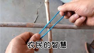 The farmer is too smart. The method of tying cross objects is strong and firm without loosening.