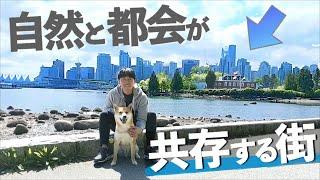 自然と共存する都会とはまさにバンクーバーのこと｜柴犬と街歩き