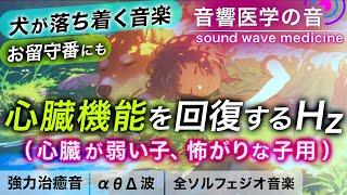 【犬が落ち着く音楽】心臓が弱い子/心臓病/臆病な子/雷などで震える子などの治癒音┃お留守番にも┃超回復のα波・θ波・デルタ波┃全ソルフェジオ周波数