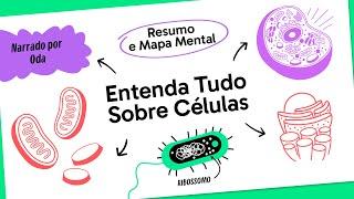 CITOLOGIA | BIOLOGIA | QUER QUE DESENHE?