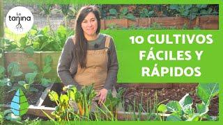 10 CULTIVOS RÁPIDOS para empezar en el HUERTO 