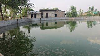 25 Acre land with  lemon and popular farming for sale in Hoshiarpur punjab near city 9316167007