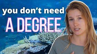 Tips on How to get into Marine Conservation