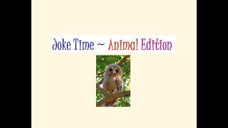 Joke Time Animal Edition - 3 with Ms. Winckler (3:41)