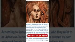 Unveiling the Secret of the Transgendered -the Kabbala version of Genesis