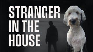 Bunny And The Mysterious Case of The Stranger In The House - Bunny The "Talking" Dog